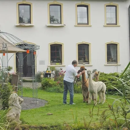Holiday Alpakahof Blomberg Apartment